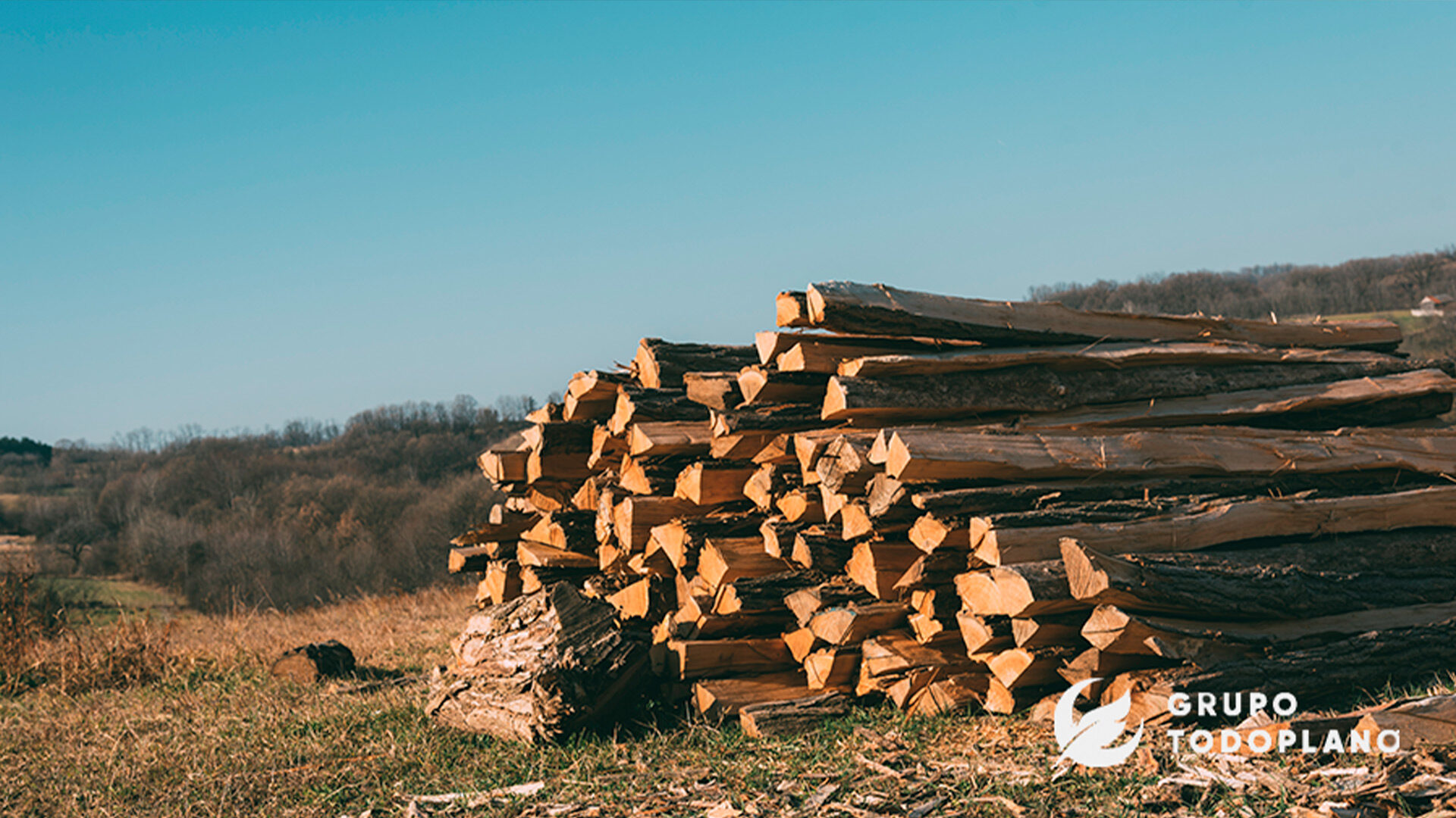 Madera de haya, 100% natural, base de los sillones Stressless