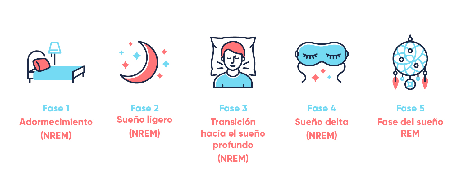 En el blog de Grupo Todoplano te hablamos de la importancia de las fases del sueño para tu salud