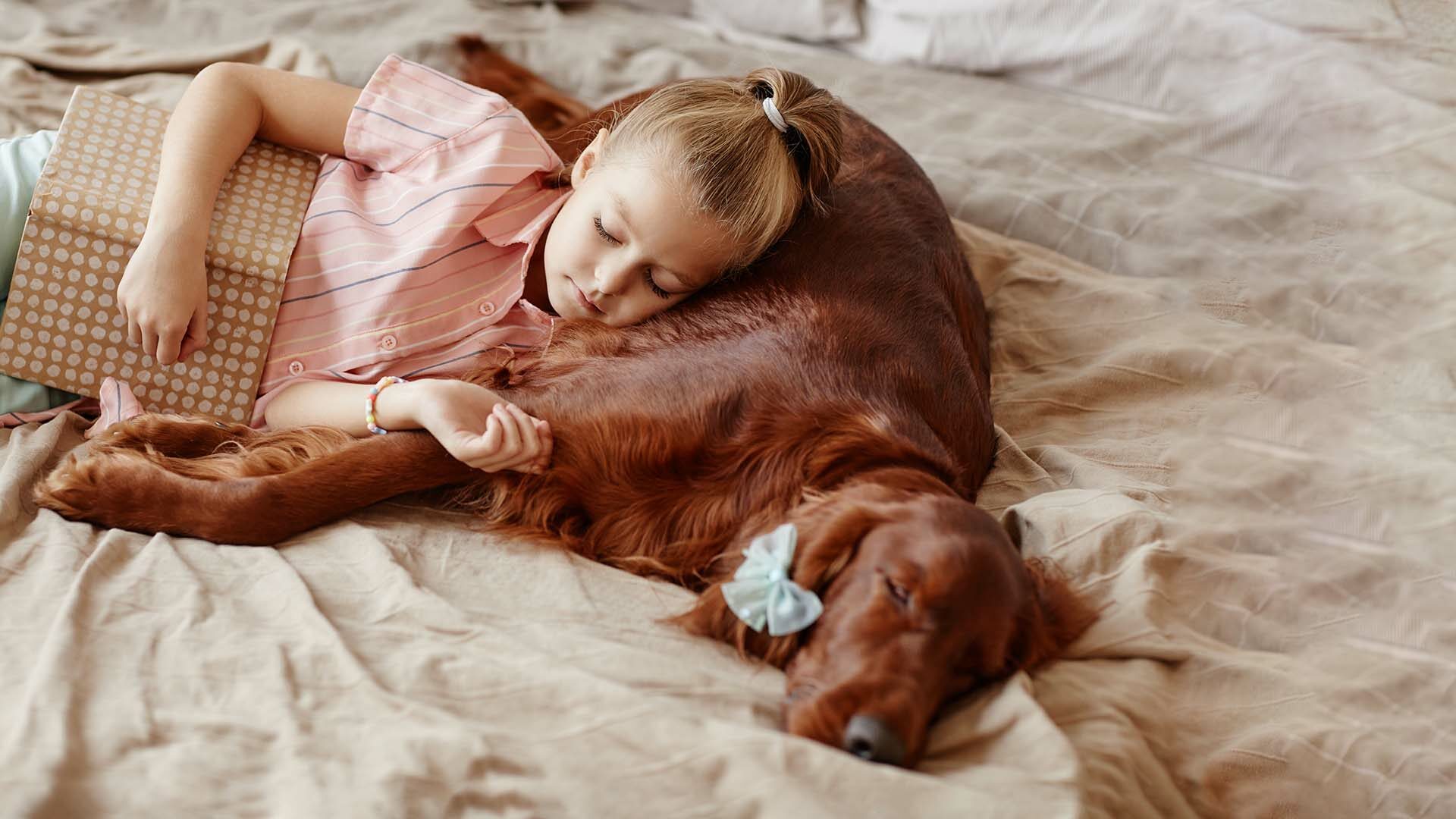 En el blog de rupo Todoplano te contamos por que dormir con tu mascota te ayudará a dormir mejor