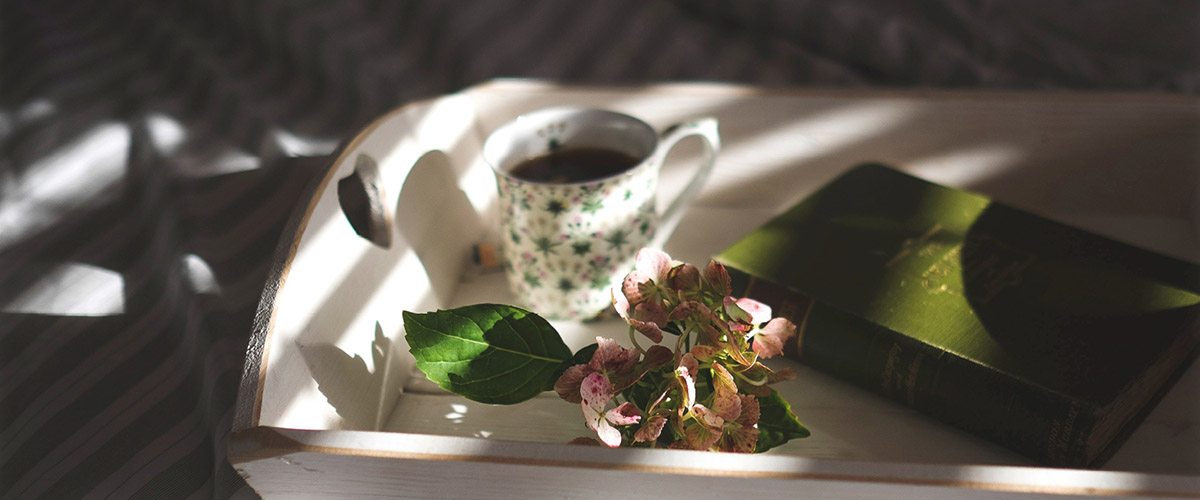 Los expertos en descanso de Grupo Todoplano hemos contactado con la tienda especializada de té SienTe para que nos cuente qué infusiones debemos tomar para conciliar el sueño.